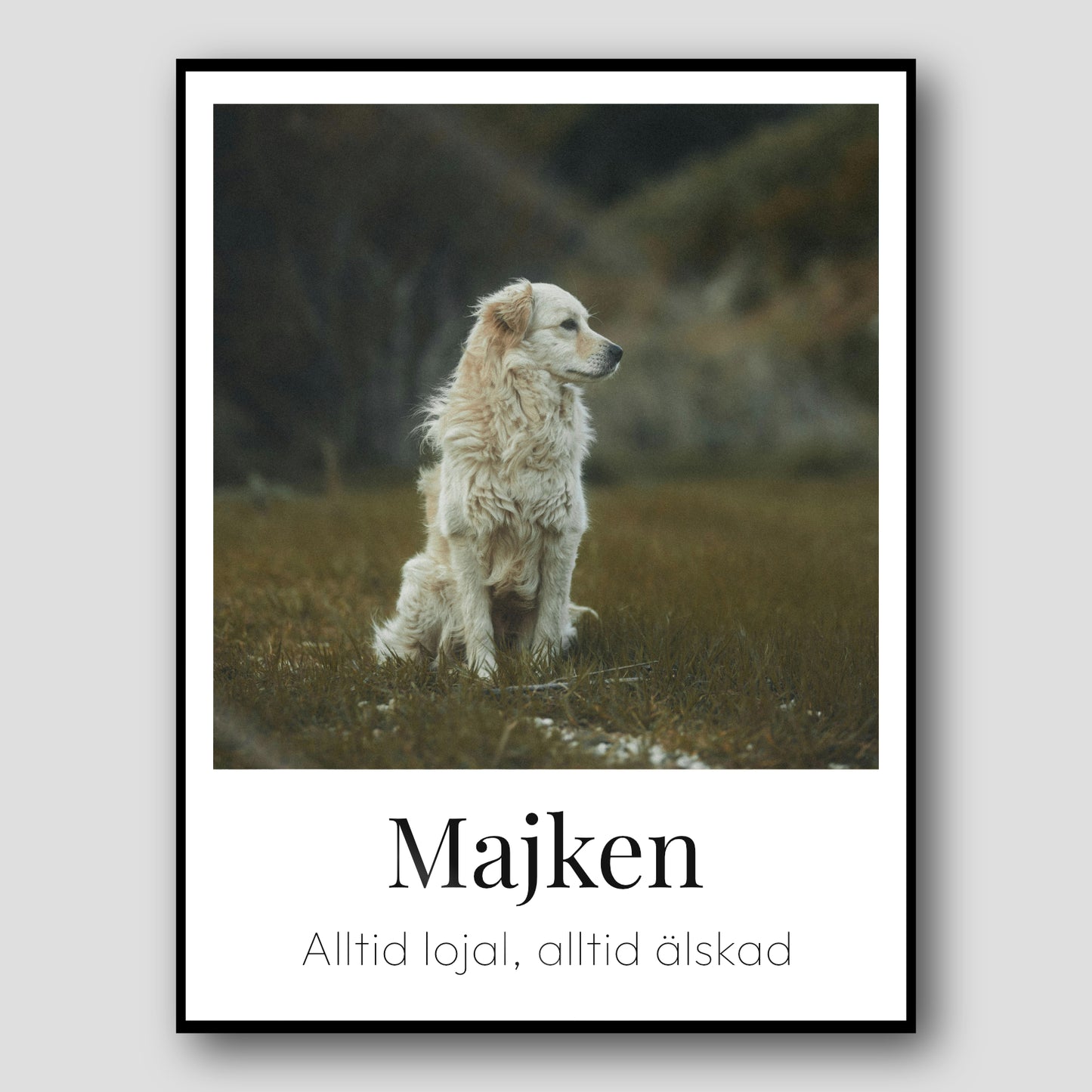 Kärleksposter